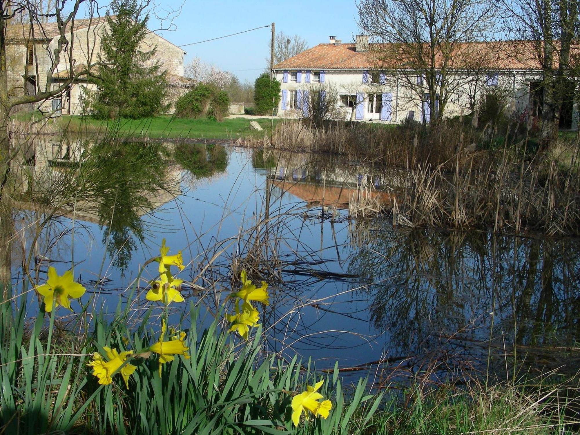 Chambres D'Hotes Entre Niort Et Marais Poitevin Bessines Ngoại thất bức ảnh